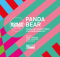 Panda Bear MOMA PS1